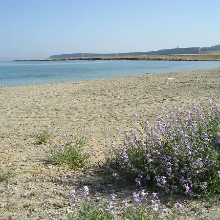 Splendida Villetta Tra Gli Ulivi, Al Mare 度假居