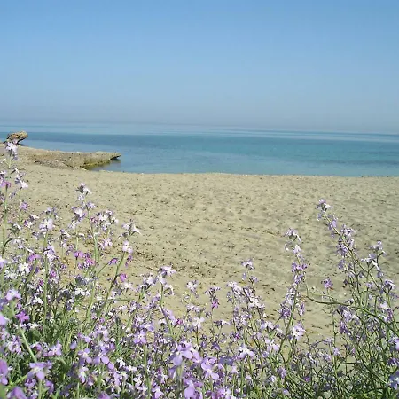 Splendida Villetta Tra Gli Ulivi, Al Mare 卡斯泰卢佐